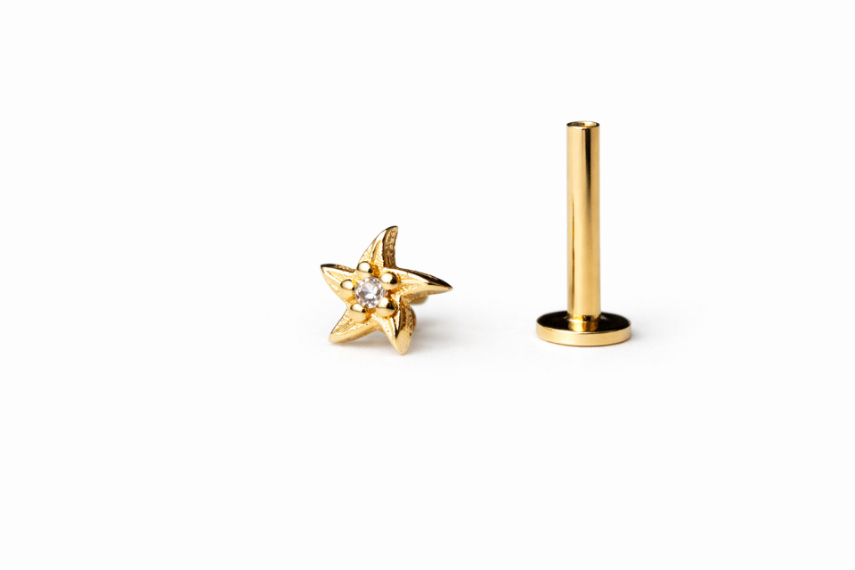 14 Ayar Altın Yıldız Tragus Piercing